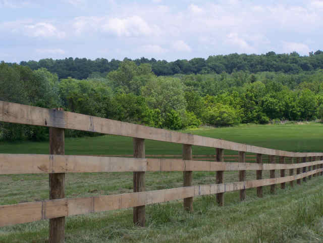 Good Fences Make Good Neighbors Evidence on the Eﬀects of