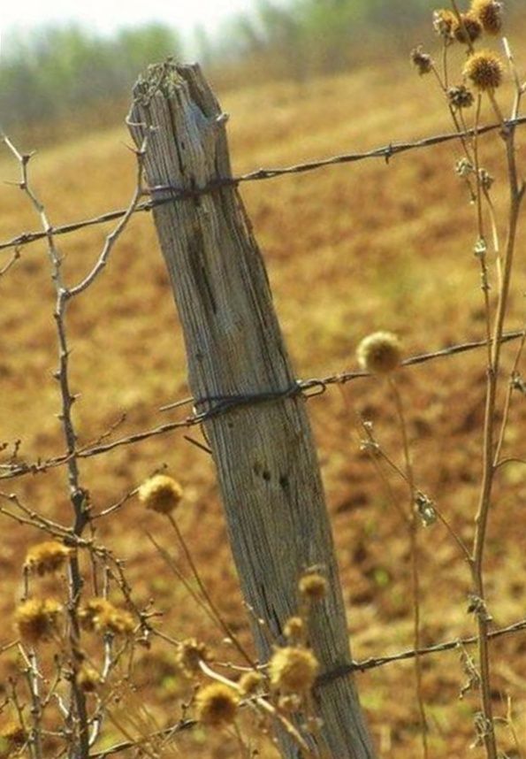 How to Build a Barbed Wire Fence DIY - Mother Earth News