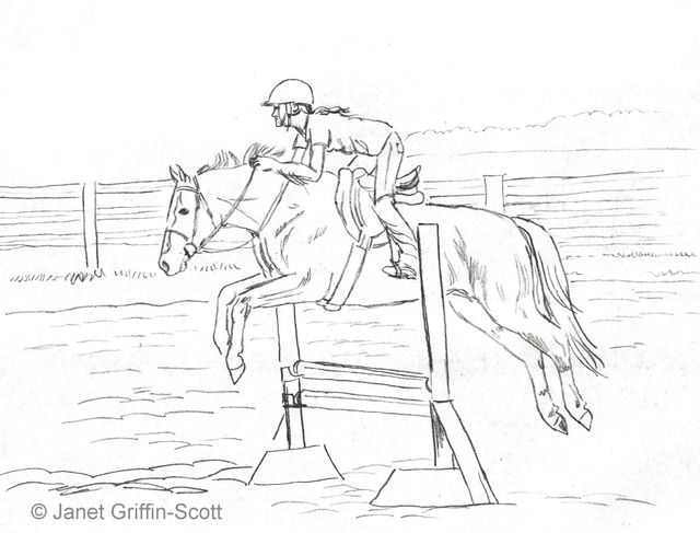 A horse jump on wooden fence Download Free Vectors