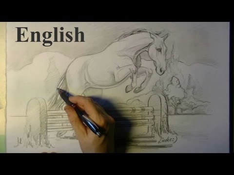 How to Draw a Jumping Horse Step by Step Pets Animals