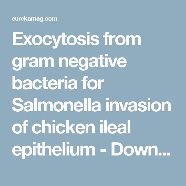 A Bacterial Cell Wall Stain1 Stain Technology Vol 28 No 4