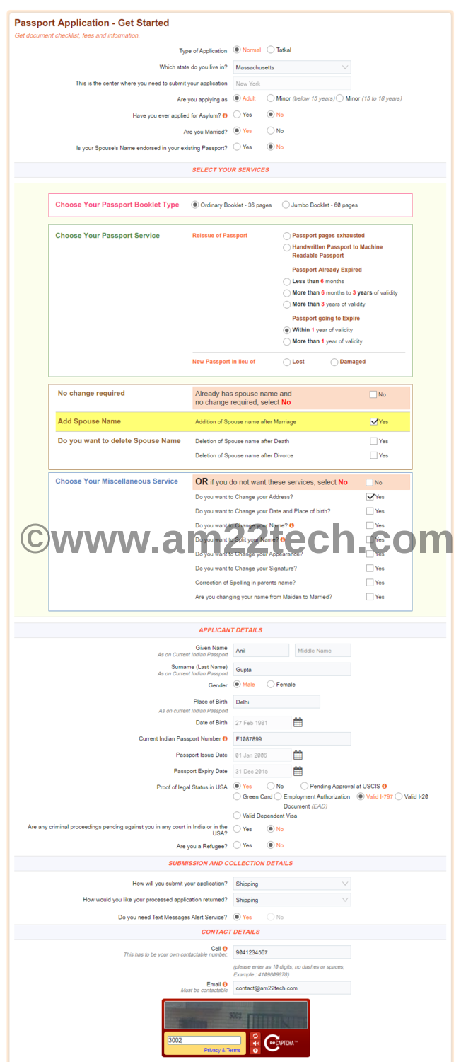 Adult Simplified Renewal Passport Application Free