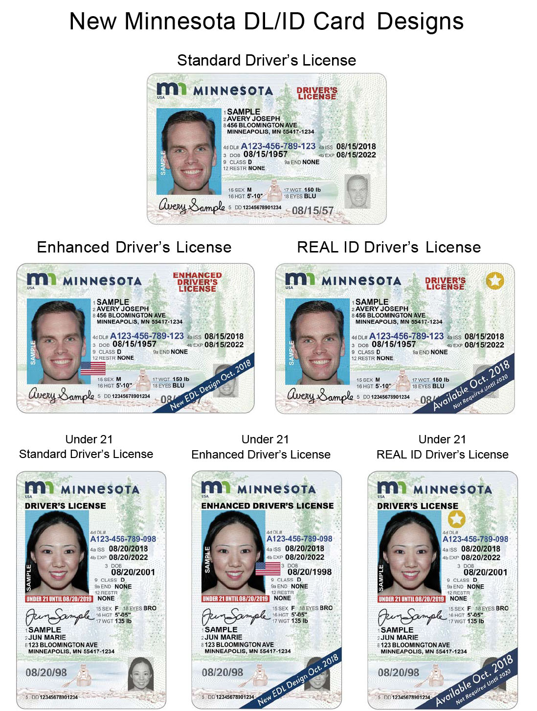 Registry of Motor Vehicles Licence Renewal